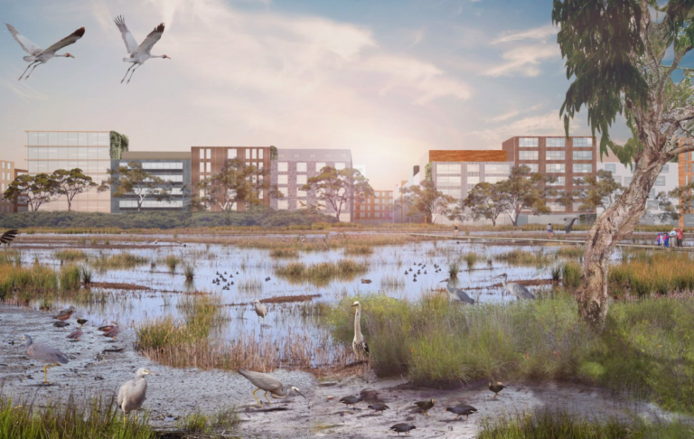 Image Credit: ‘Tidal Park’, an artistic impression of the future urban ecology of Fishermans Bend (courtesy of ICON Science, Centre for Urban Research, RMIT University)